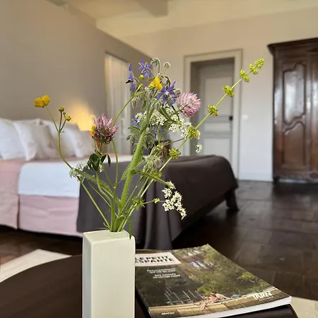 Oh, Le Chateau! Almayrac Zimmer foto